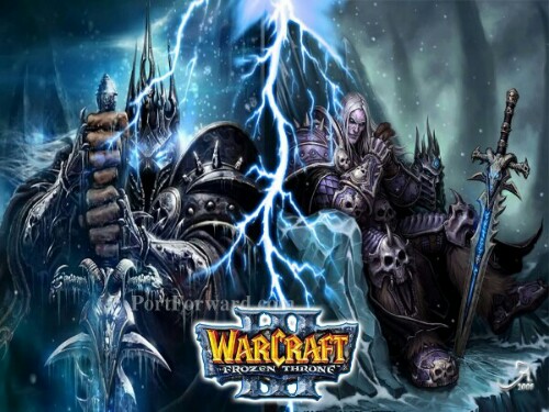 Warcraft Frozen Throne image